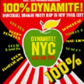 V.A. '100% Dynamite NYC! Vol. 2'  2-LP